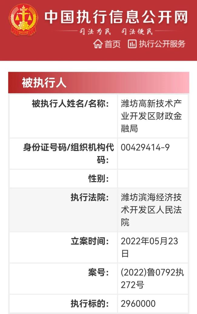 潍坊高新区财政金融局成被执行人，标的296万元
