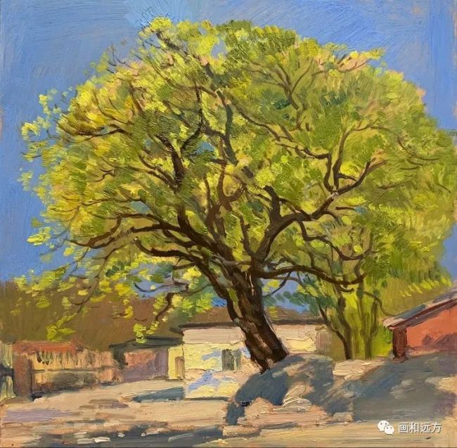 与缤纷色彩为伴著名画家孙立新京郊山村写生留下美好记忆