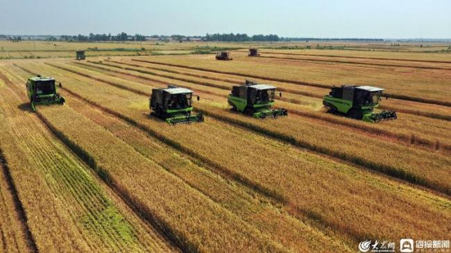 “无人农机”大显身手！德州乐陵智慧农机促减损保丰收