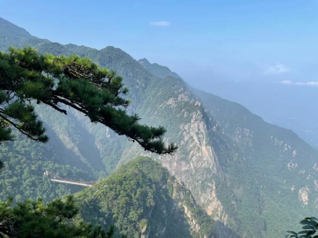 只缘身在此山中——著名画家李伟写生庐山收获颇丰