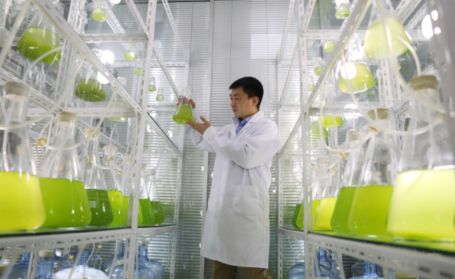 投资1.02亿元，山东首个藻类活性细胞生物肥项目落户德州乐陵