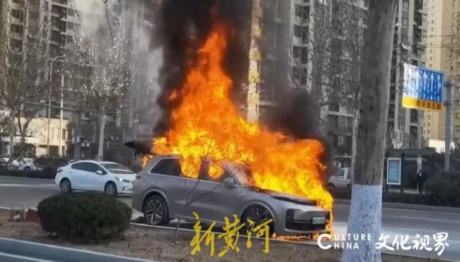 天天3·15丨理想L9济南街头自燃，车主讲述“惊魂时刻”，消防部门已经介入