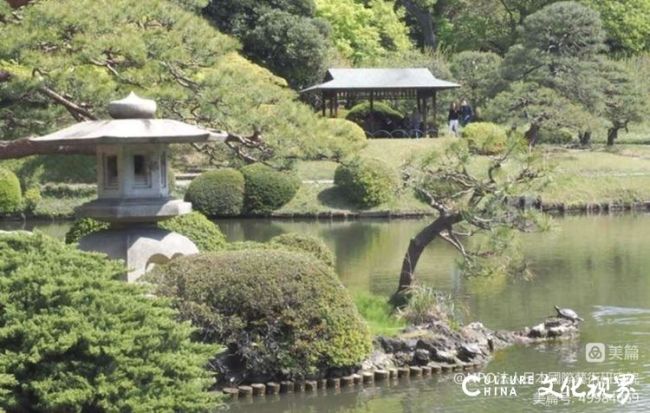 20230713102855516606.jpeg 7.jpeg