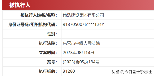 虱子多了不怕咬？伟浩建设集团有限公司又增一条被执行信息，今年以来已有几十条了