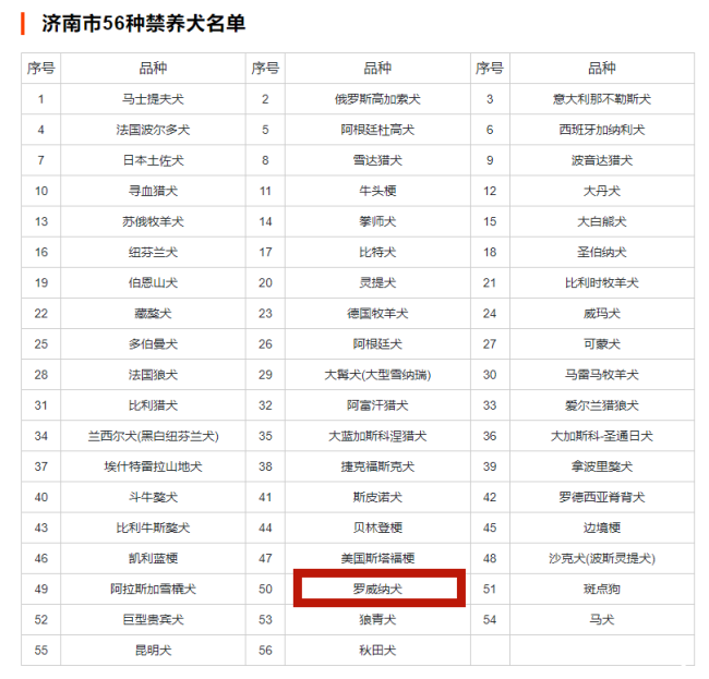 济南市早在2021年就已禁止饲养大型犬烈性犬罗威纳就在禁养名单中