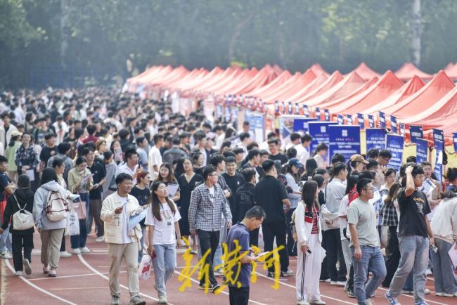 5.6万个人才需求！济南发布《2024年度济南都市圈重点产业发展人才需求目录》