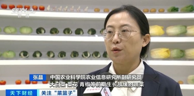 寒潮来临前，还能吃几天“便宜”菜——大白菜降价超三成！11月全国蔬菜价格环比下降13.7% 