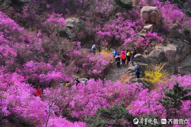 30项活动4条线路！解锁青岛西海岸新区春日旅游密码