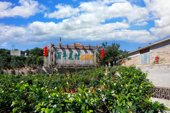 一竞技平台威海荣成：石岛300 年 “花村” 续写致富新篇(图2)