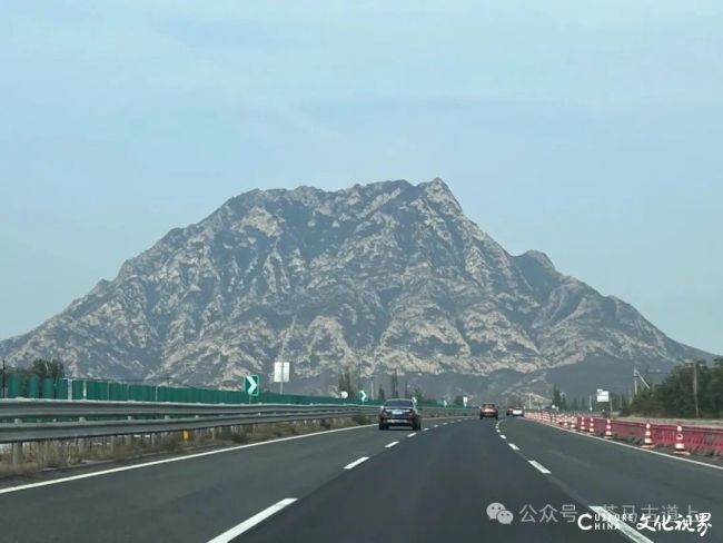 马2.jpg
