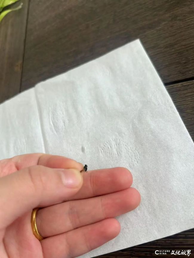 频频被曝喝出异物，古茗奶茶怎么了？