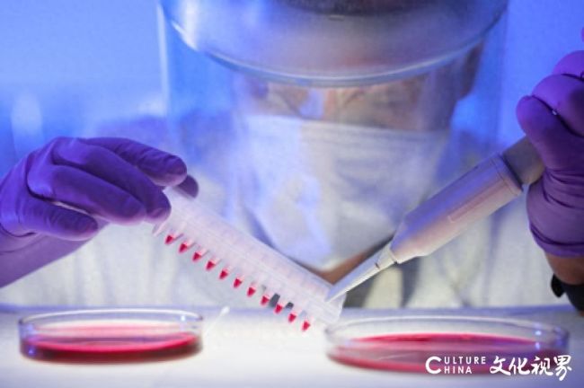 10亿元止血药红海再掀波澜:新华制药左手新药入场券,右手净利润下滑,“增收不增利”困局何解?