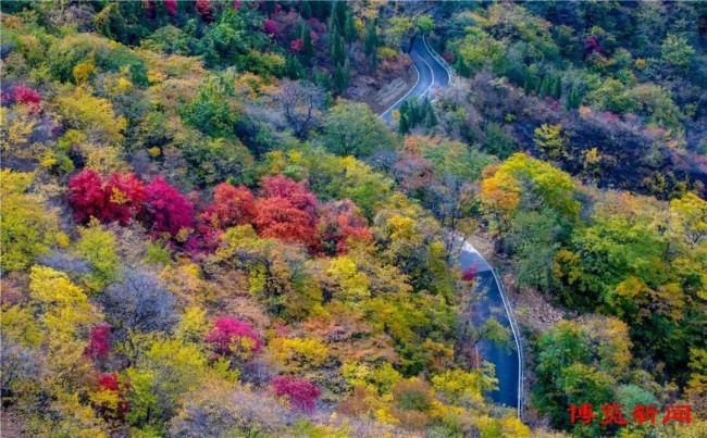 红叶为笔、山水为卷,淄博这些景区藏着浓墨重彩的秋天