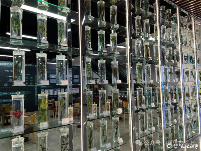 20251027165259814632.jpg 10~1.jpg