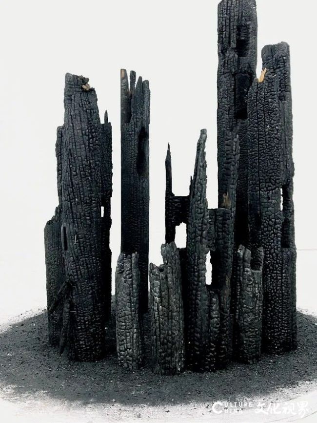 20251028100525291431.jpg 30.jpg