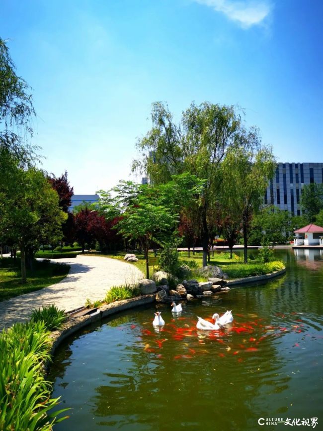 以科技创新赋能中药高品质绿色发展——步长制药牵头项目斩获陕西省科学技术进步一等奖