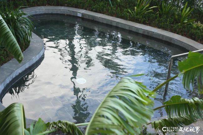 20251031092452654627.jpg 2.6.jpg