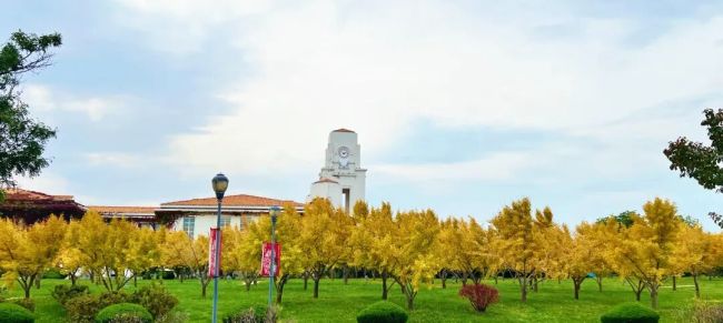 “丹青蓬莱·画意君顶——2025泉城油画学社秋季写生创作活动”在烟台启幕