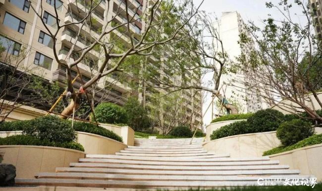 20251105111239739667.jpg 62.jpg