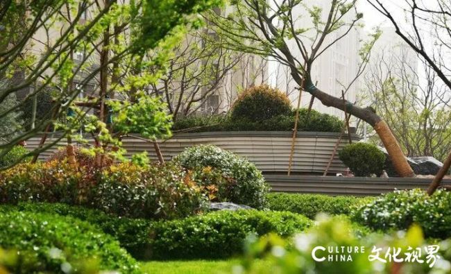 20251105111239451176.jpg 63.jpg