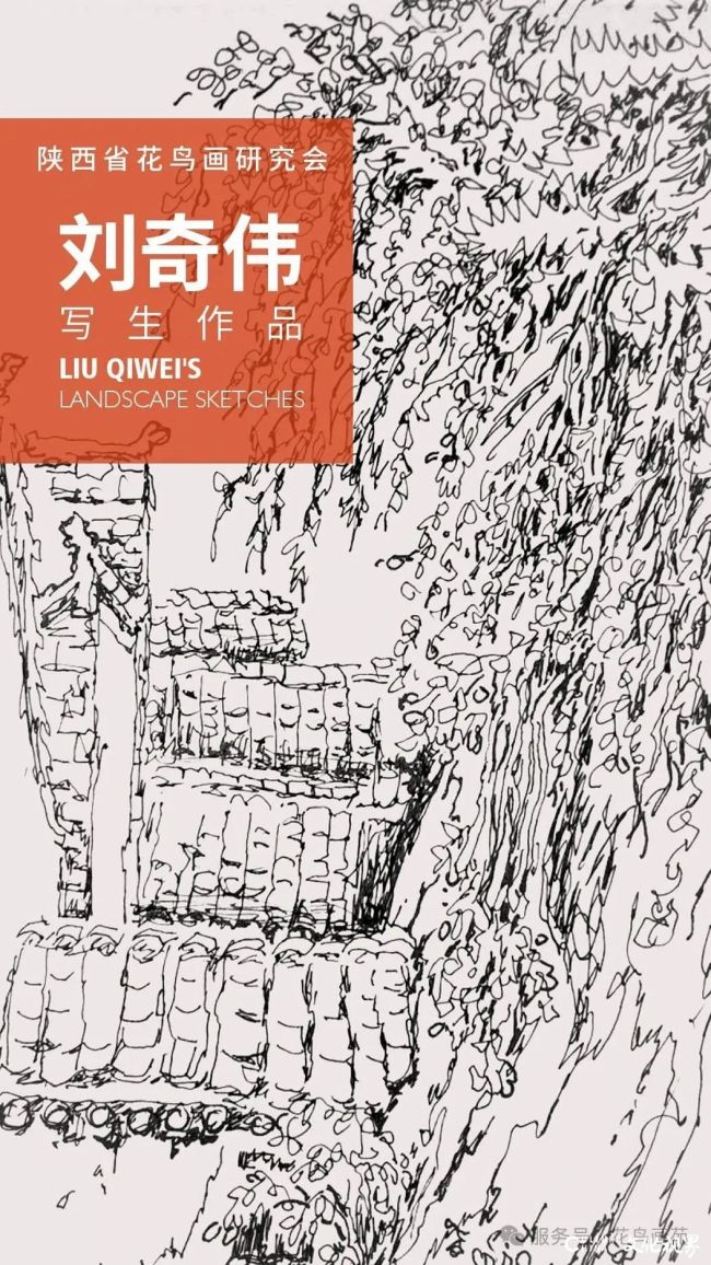 20251112095141664759.jpg 1.jpg