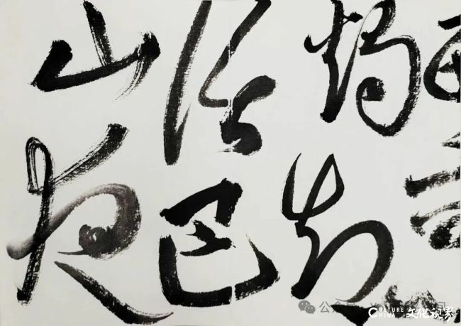 20251113104000670137.jpg 20~1.jpg