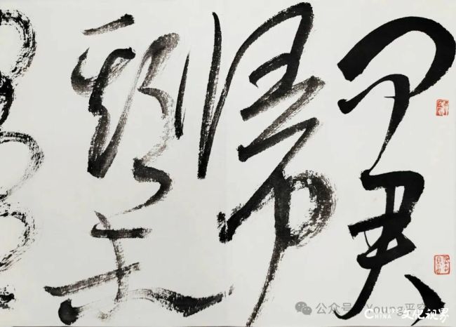 20251113103917892690.jpg 17~1.jpg