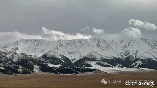 20251120103514591479.jpg 105.jpg