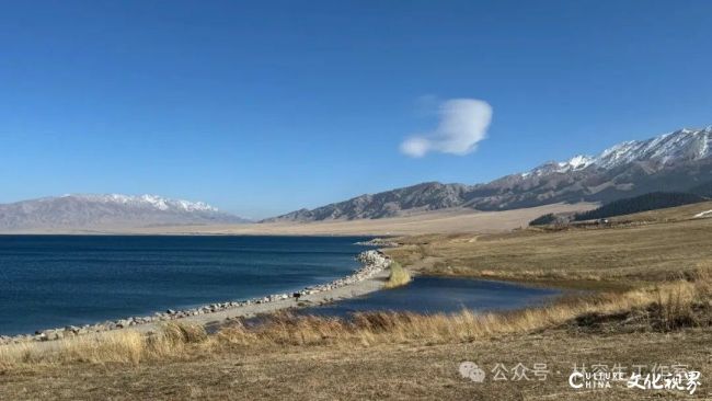 20251120103136985502.jpg 78.jpg