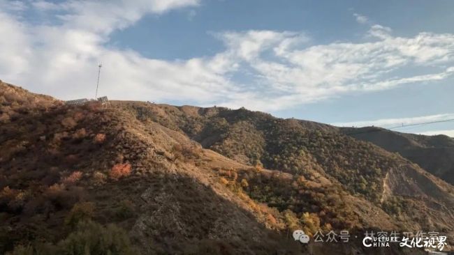 20251120102700539219.jpg 43.jpg