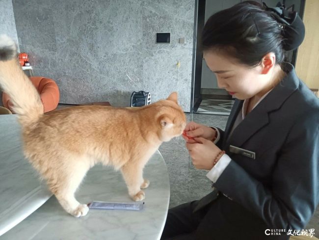 20251209135941505224.jpg 5-36.jpg