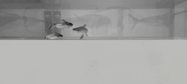 20251219101648755224.jpg 35.jpg