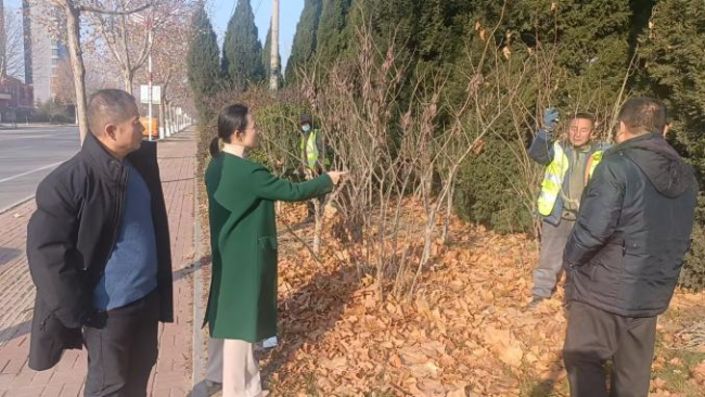 以精细管理“工笔”，绘烟台莱山宜居“画卷”