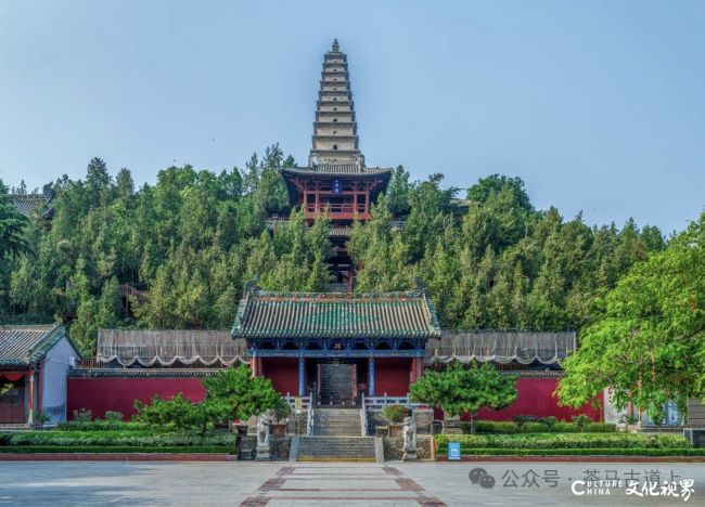 马悦英丨登普救寺莺莺塔，品一段千年爱情与佛门禅意