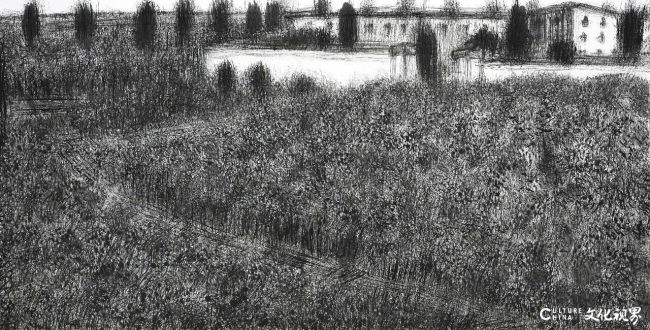 20260105092335681594.jpg 29~1.jpg