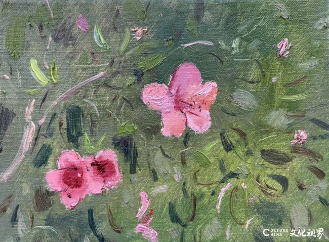 20260107095244281386.jpg 17.jpg