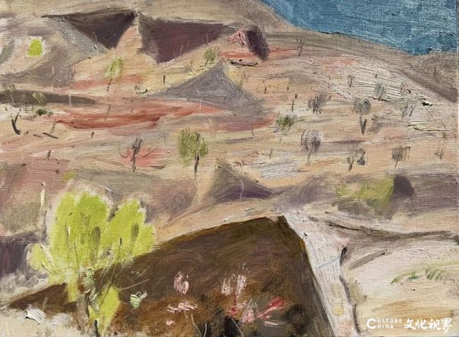 20260107095621477021.jpg 48.jpg