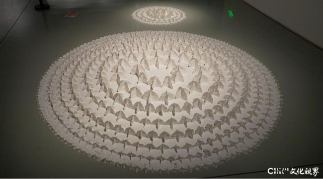 20260107134706115019.jpg 图片13.jpg