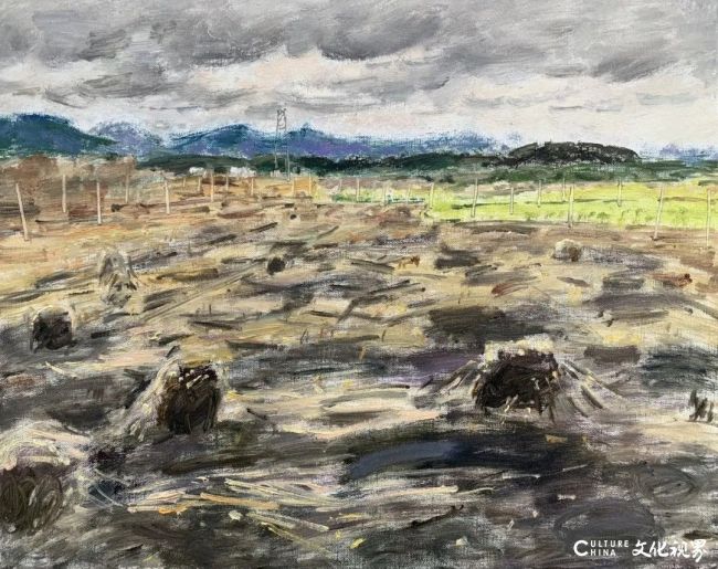 20260107095102448233.jpg 7.jpg