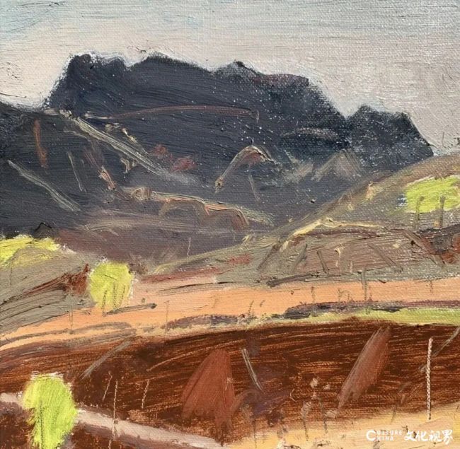 20260107095453718032.jpg 35.jpg