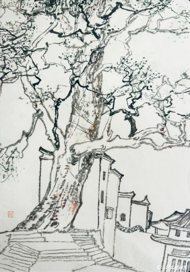 20260108093330732178.jpg 26~1.jpg