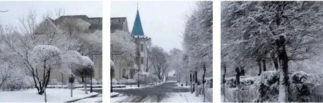 孙承民：风竹劲兰，人生境况