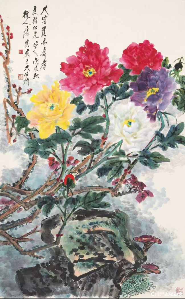 20260115100008578204.jpg 8d412d0cb116122858dd0c6d7431ea2a.jpg