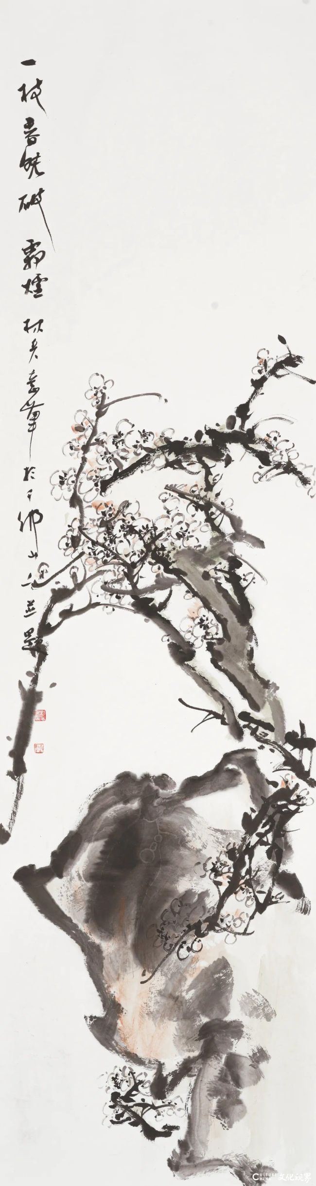 20260118110522397236.jpg 86.jpg