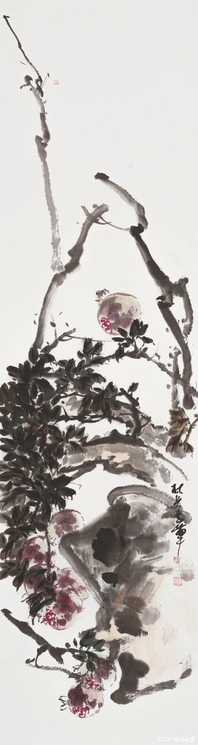 20260118110429907524.jpg 79.jpg