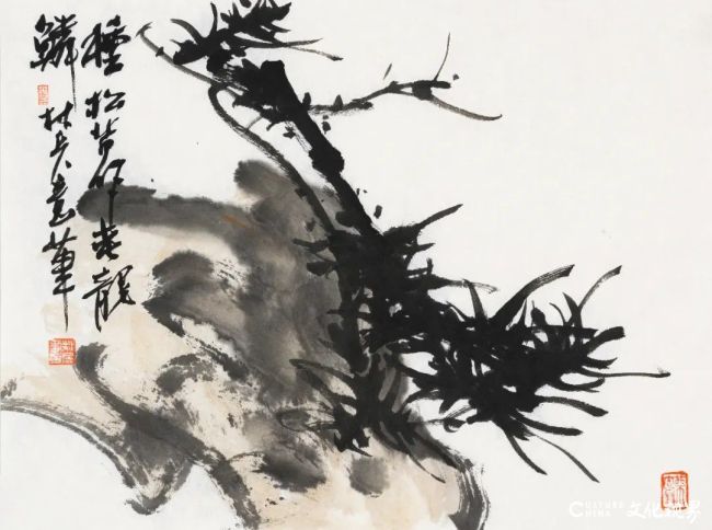 20260118110554132060.jpg 91.jpg