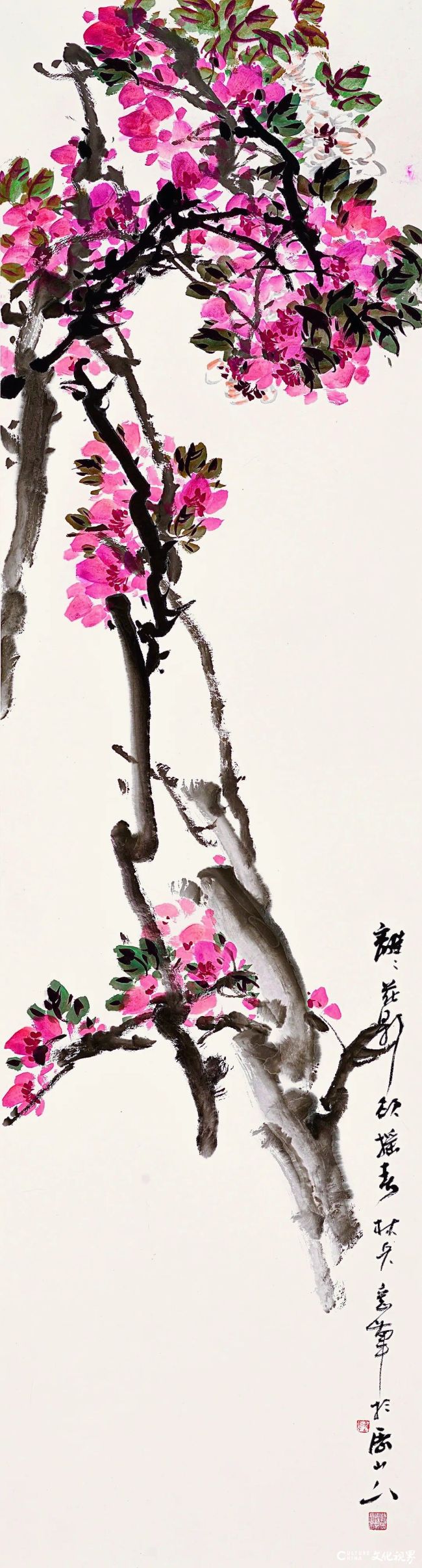 20260118110337447042.jpg 73.jpg