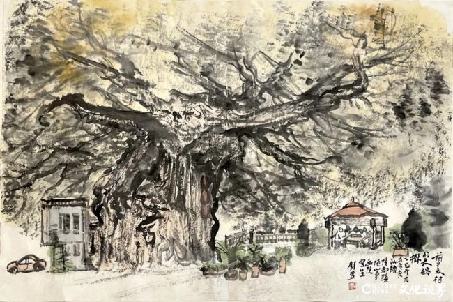 20260119101247348243.jpg 30.jpg