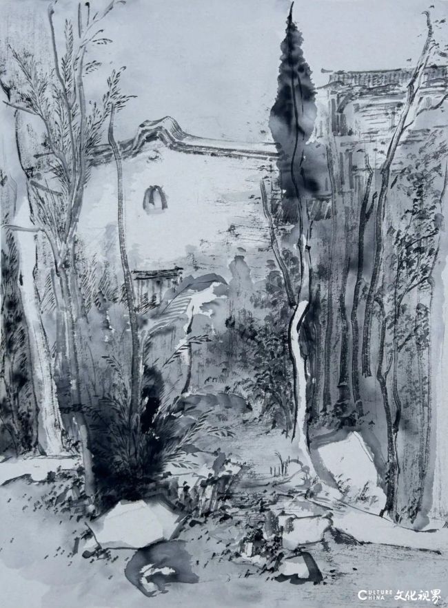 20260119101311520287.jpg 34.jpg