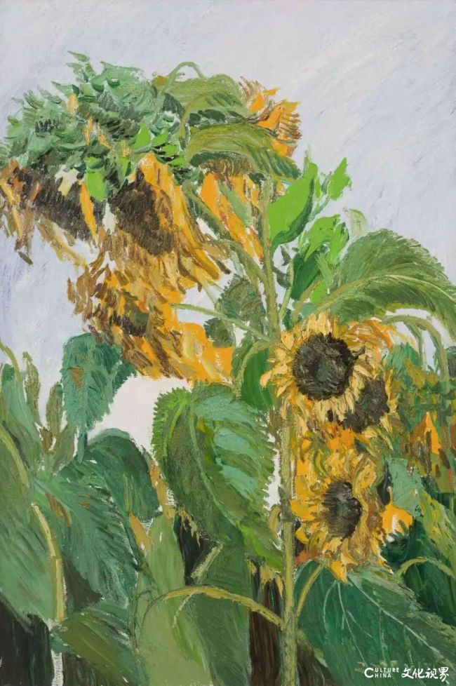 20260119092751574732.jpg 11~1.jpg